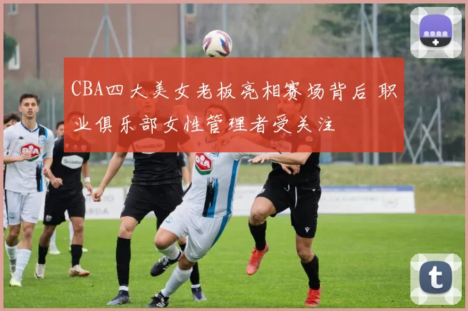 CBA四大美女老板亮相赛场背后 职业俱乐部女性管理者受关注