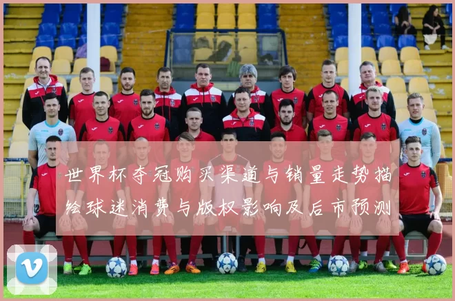 世界杯夺冠购买渠道与销量走势描绘球迷消费与版权影响及后市预测