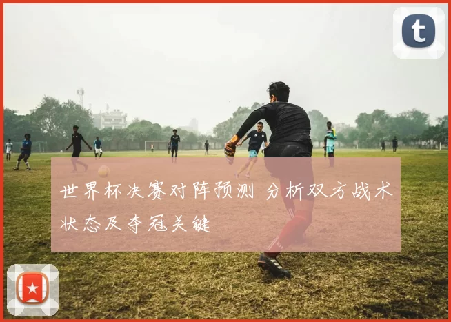 世界杯决赛对阵预测 分析双方战术状态及夺冠关键