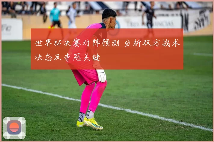 世界杯决赛对阵预测 分析双方战术状态及夺冠关键